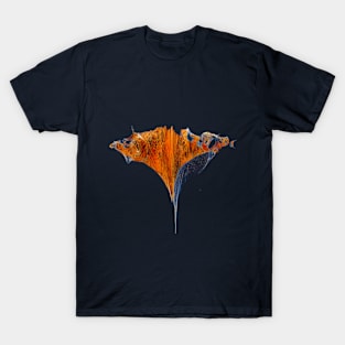 Floating Mountain T-Shirt